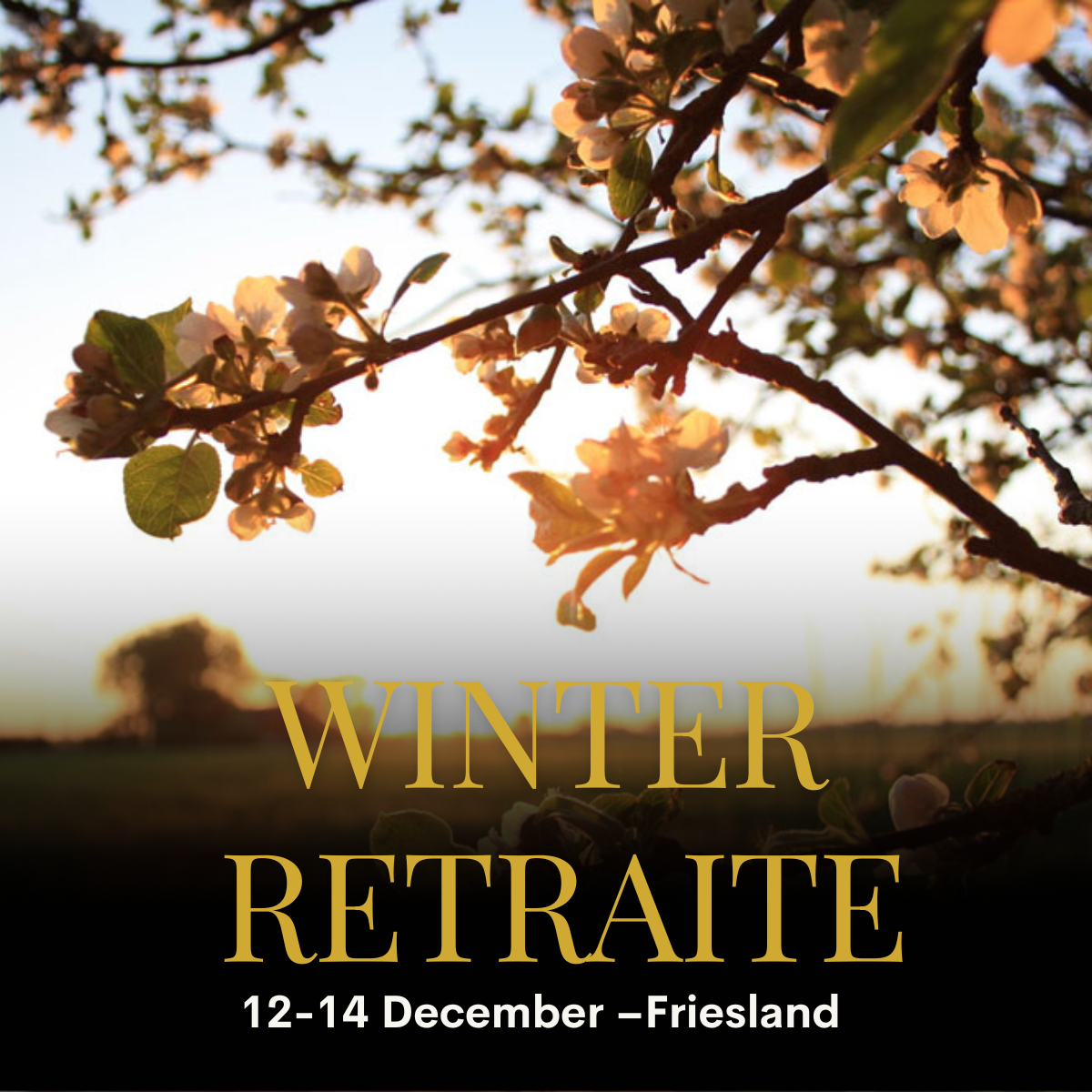Winterretreat Friesland 2025 | 12–14 december
