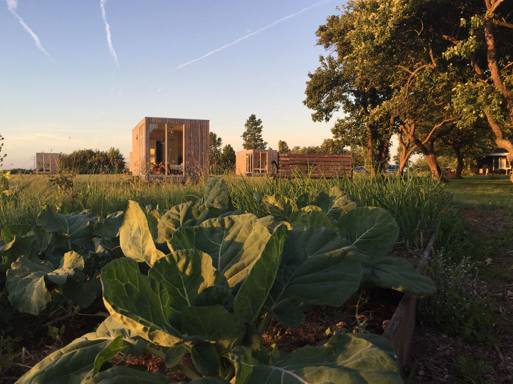 Winterretreat Friesland 2025 | 12–14 december