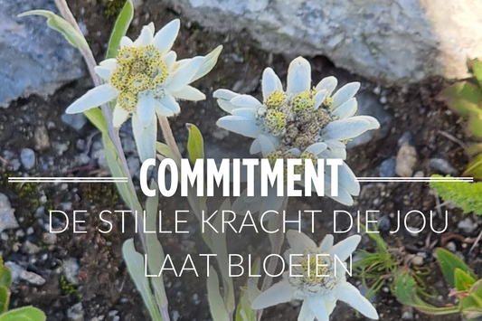 Edelweiss — Symbool van Commitment en Discipline