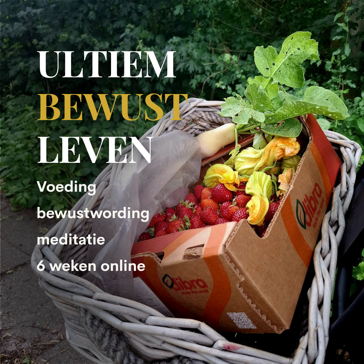 Ultiem Bewust Leven – 6 weken online
