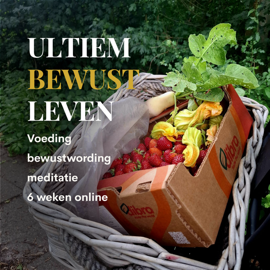 Ultiem Bewust Leven – 6 weken online